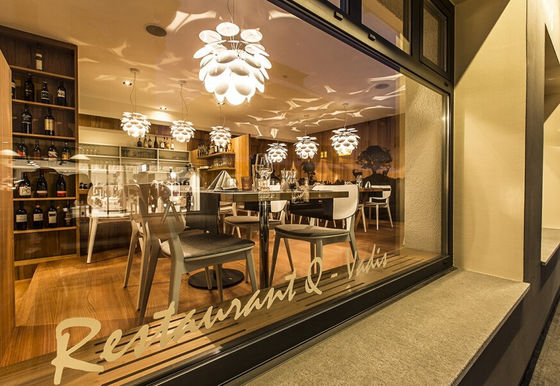 Decorative Pendant Lights Exuberant Branch Flower Lights for Residential Lighting