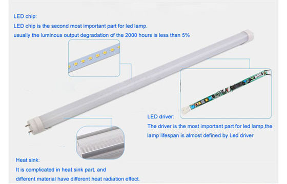 120cm T8 LED Tube Light 20watt 1780Lm For Indoor Illumination